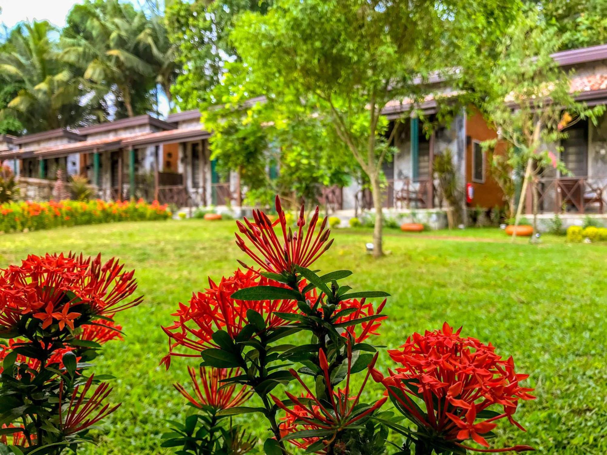 Villa Pinnawala&Restaurant Esterno foto