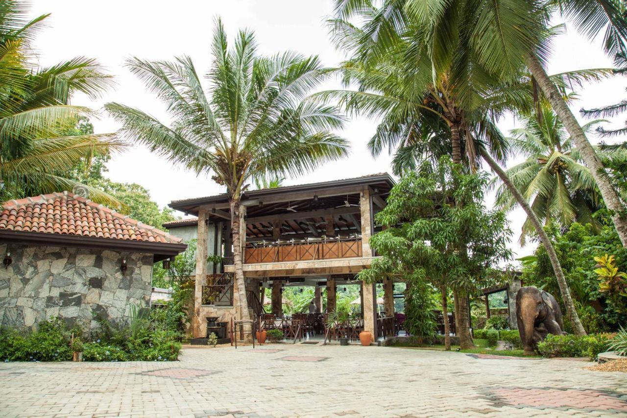 Villa Pinnawala&Restaurant Esterno foto